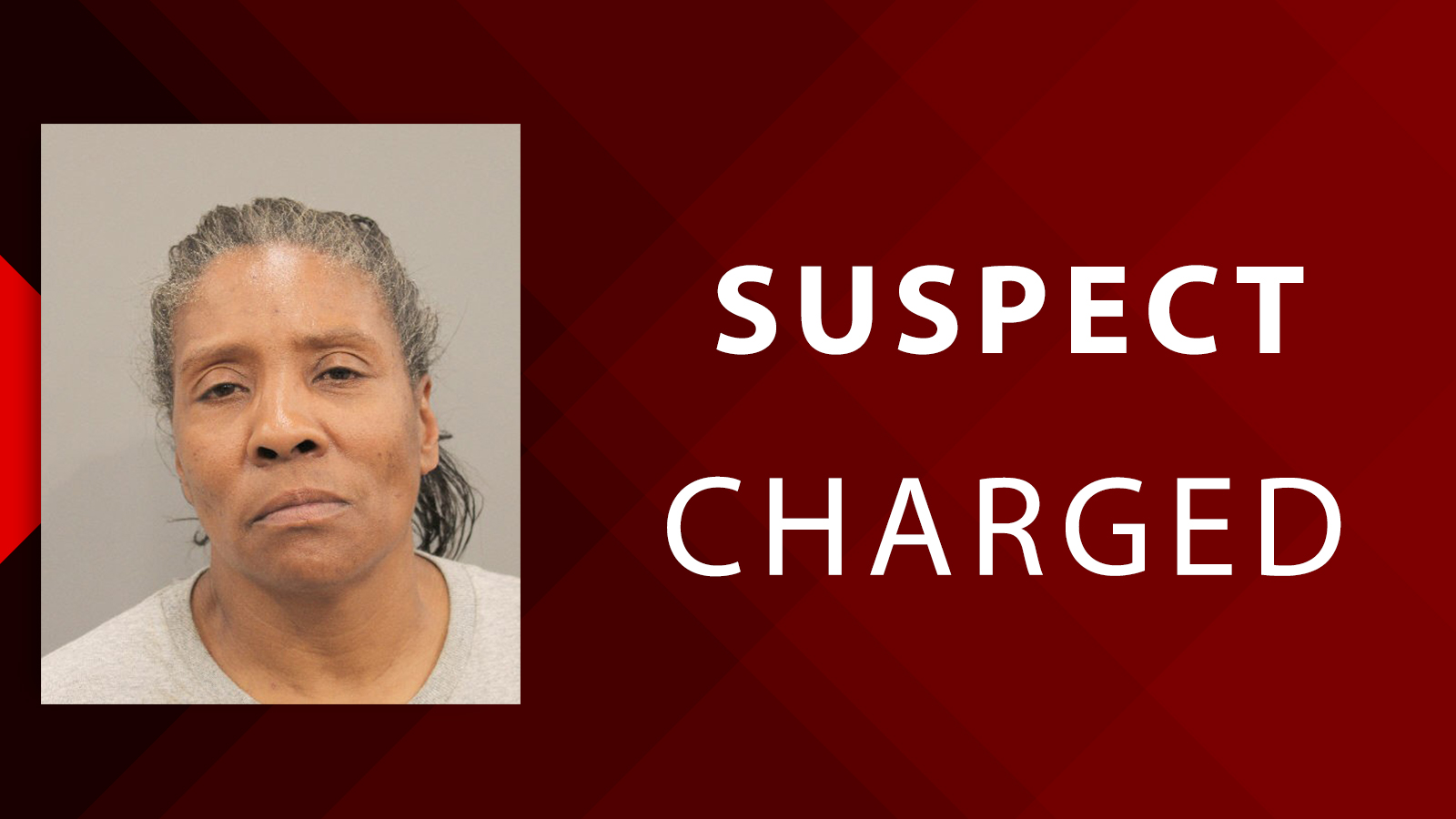 Woman charged with stabbing man in north Houston street | khou.com