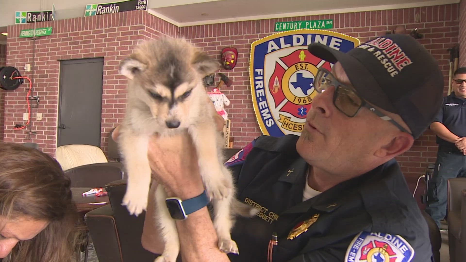 Officials said the puppies were left at Aldine Fire & Rescue Station 31, which keeps kennels at the station because of how often this has been happening.
