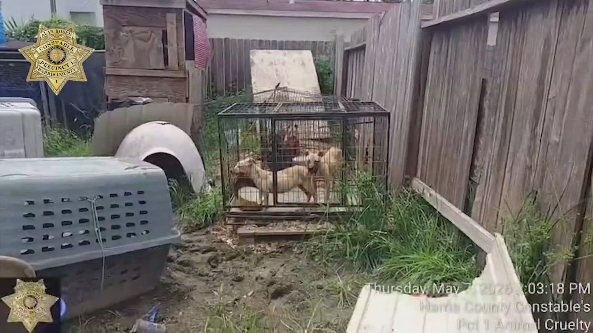 18 dogs rescued in Harris County | khou.com