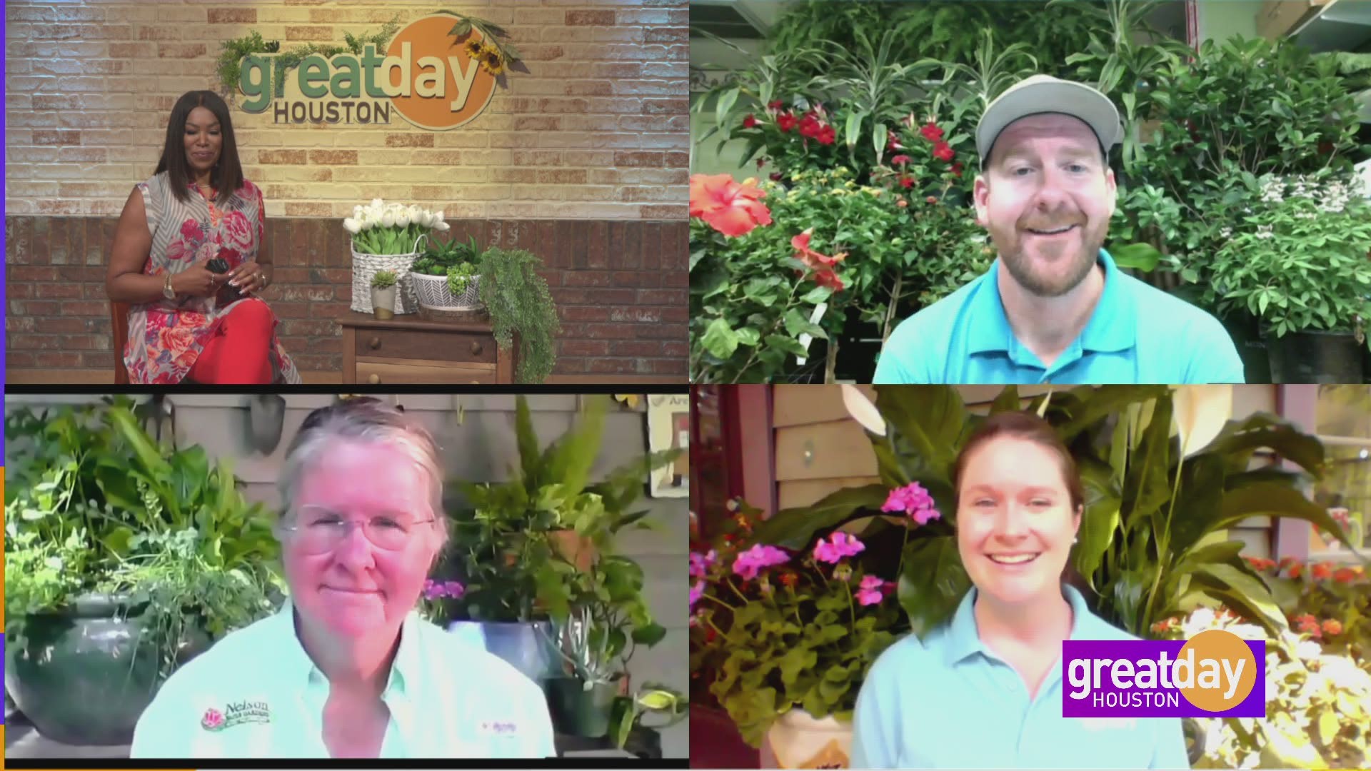 Peter, Anita, and Mary from Nelson Water Gardens & Nursery answer gardening questions