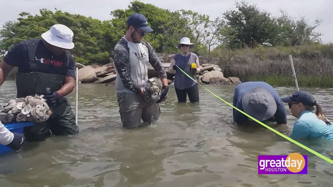 2024 Oyster & SeaFest Benefits oyster shell recycling & habitat restoration efforts