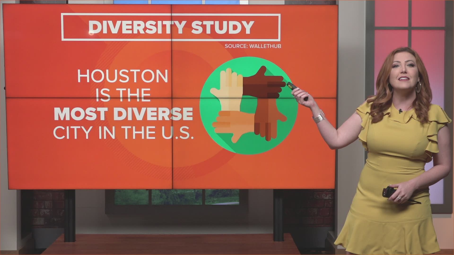WalletHub says it evaluated diversity across 501 of the largest cities in America and Houston landed in the top spot.