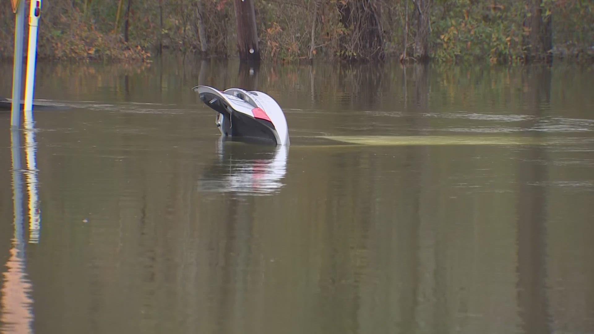 Eleven dogs, one infant, five dogs and a horse were all rescued from a neighborhood near Conroe on Thursday (1/25).