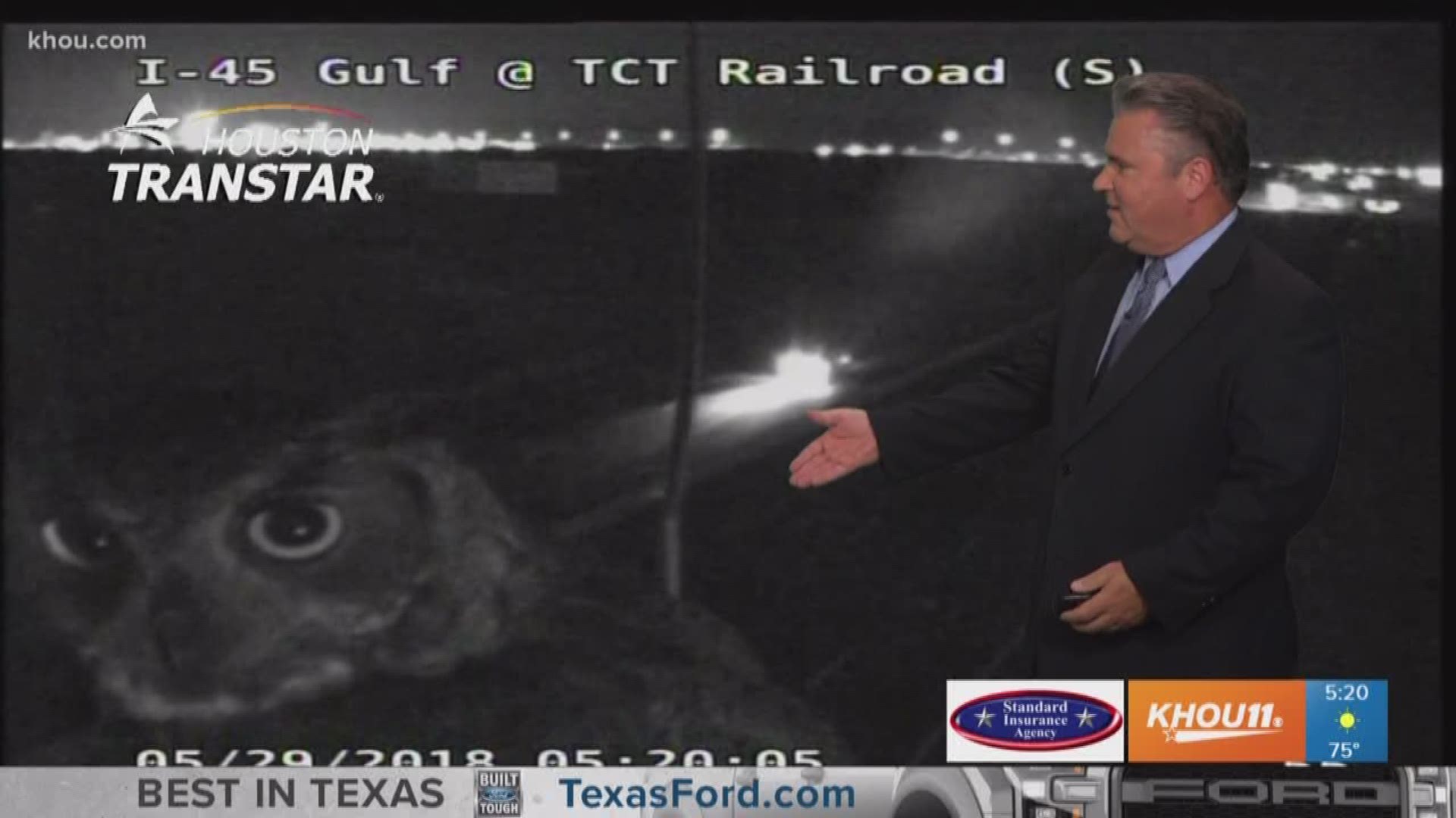 Darby gets a good look at his feathered friend perched on the traffic camera along the Gulf Freeway!