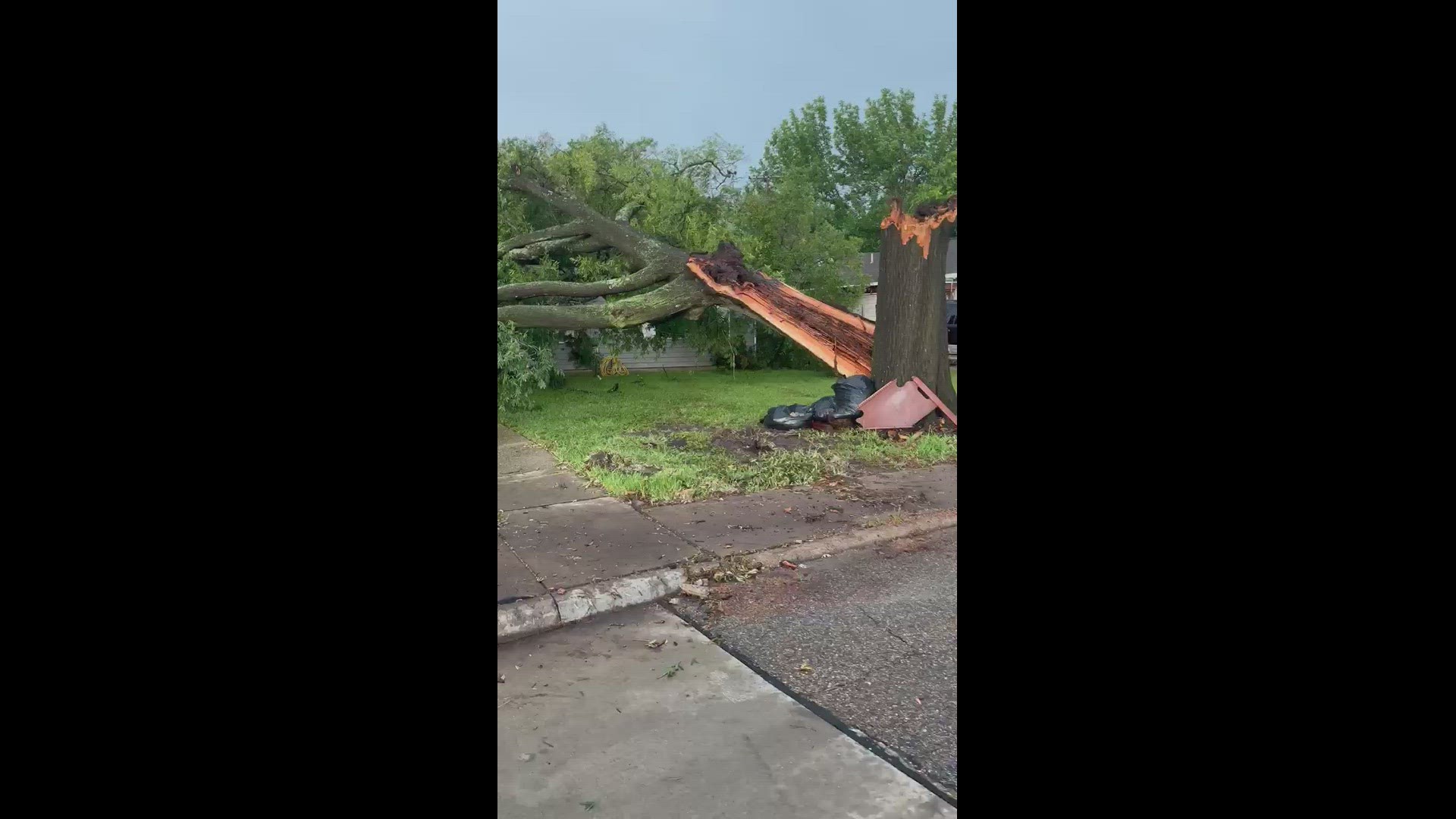Raul Sifuentes Jr. sent us this video from Pasadena. The tree toppled during Thursday's severe storms.