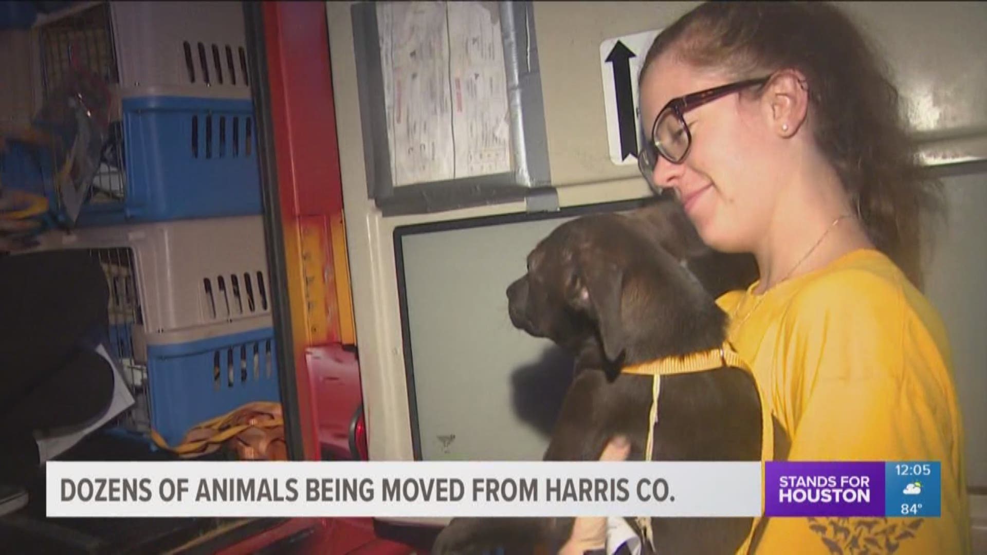 Dozens of dogs and cats from the Harris County Animal Shelter took off on a bus bound for Oklahoma Thursday morning, headed for the Humane Society of Tulsa and other shelters in hopes of finding forever homes.
