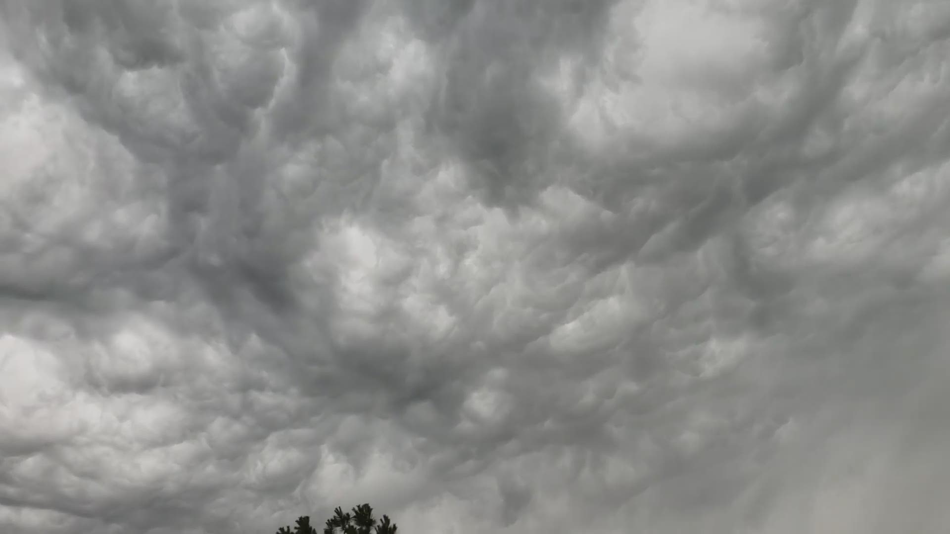 Meteorologist Addison Green says what you saw ere Undulatus Asperatus clouds