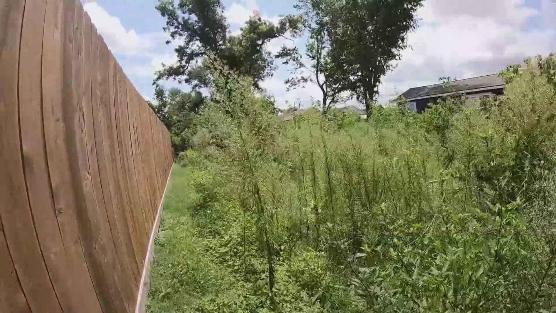A California developer must clean a Houston lot overrun with weeds and pests by July 18, following a city violation notice.