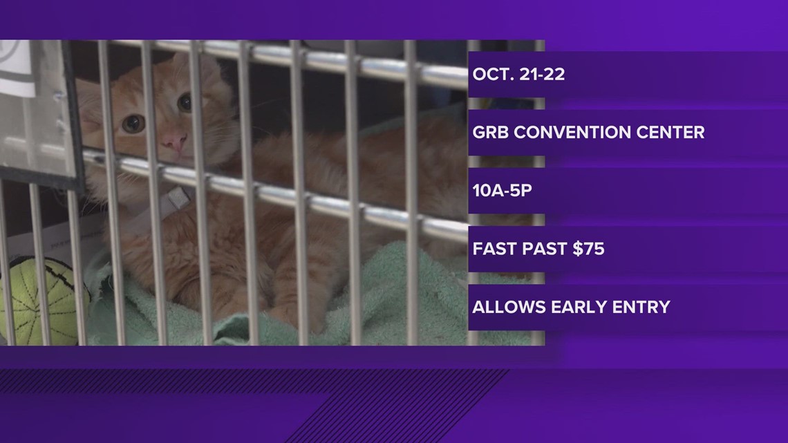 Mega pet adoption event happening at Houston's R. Brown