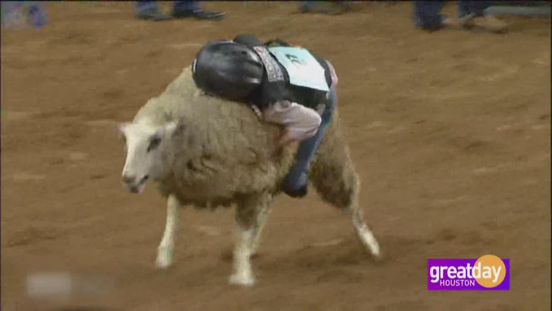 Mutton Bustin’ is one of the fan-favorite events at the Houston Livestock Show and Rodeo and Great Day Houston’s Cristina Kooker brings the heat as she learns how to bust those muttons!