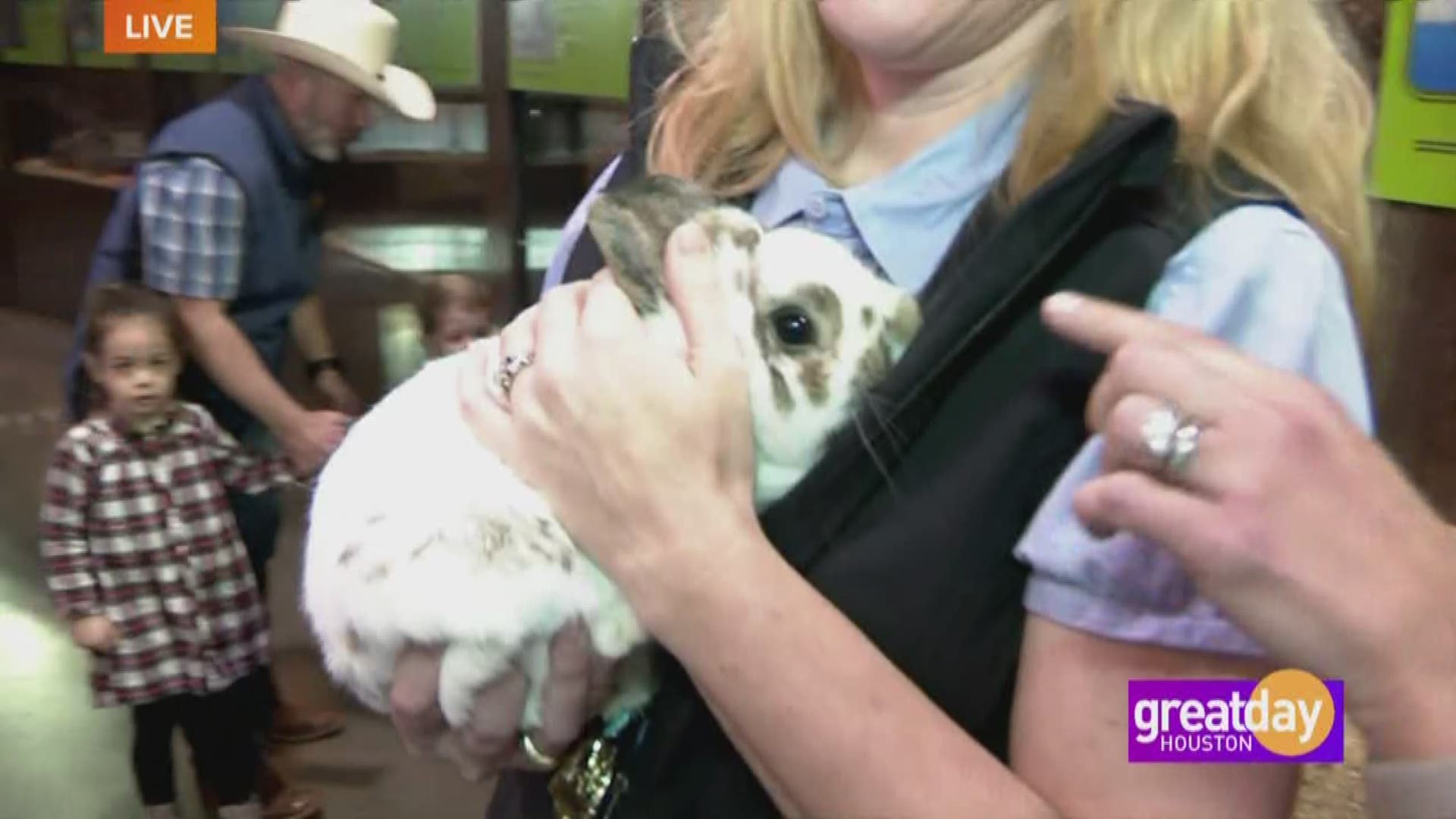 The #1 asked for exhibit at the Houston Livestock Show and Rodeo | khou.com