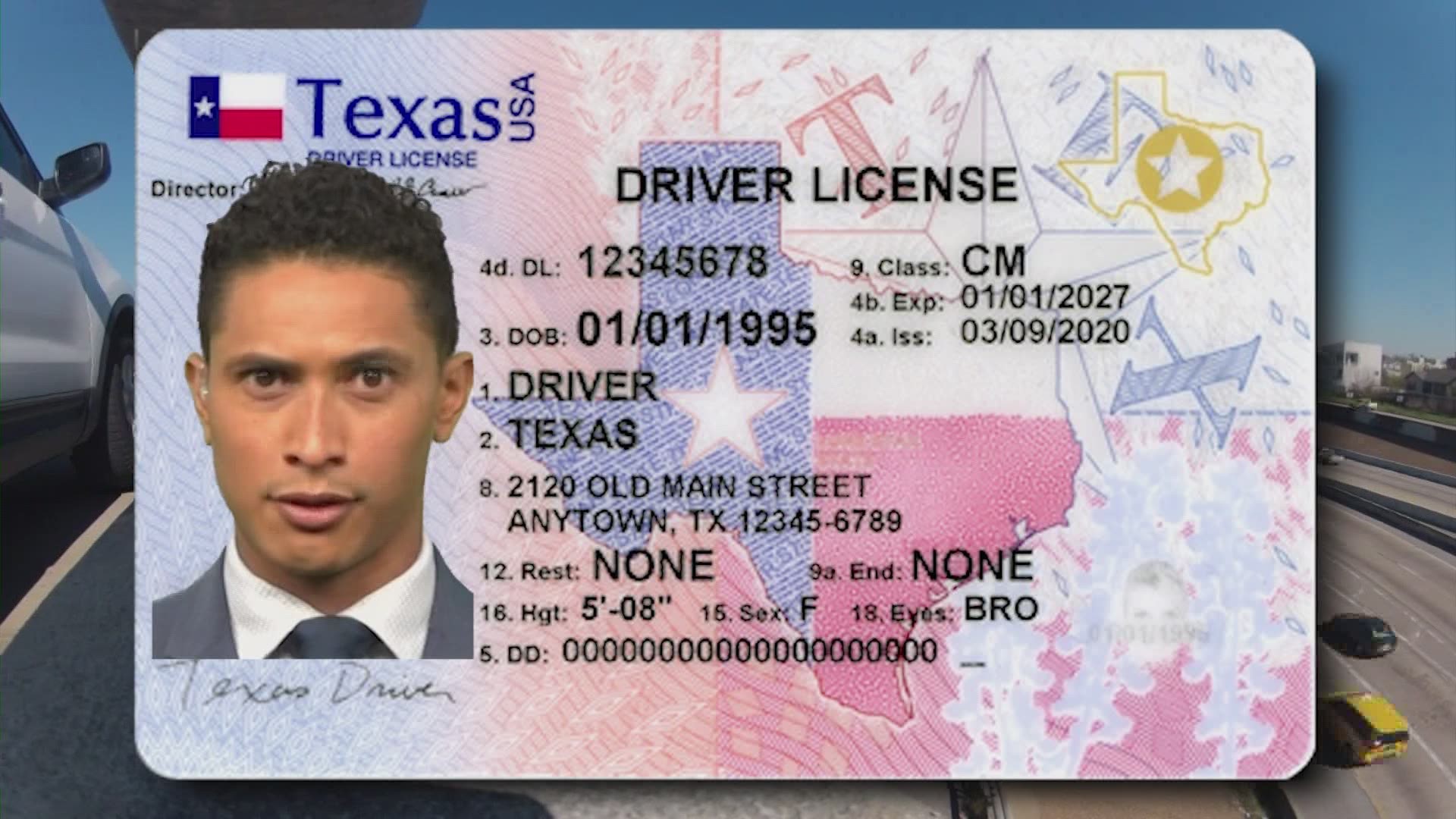 dmv fl drivers license check