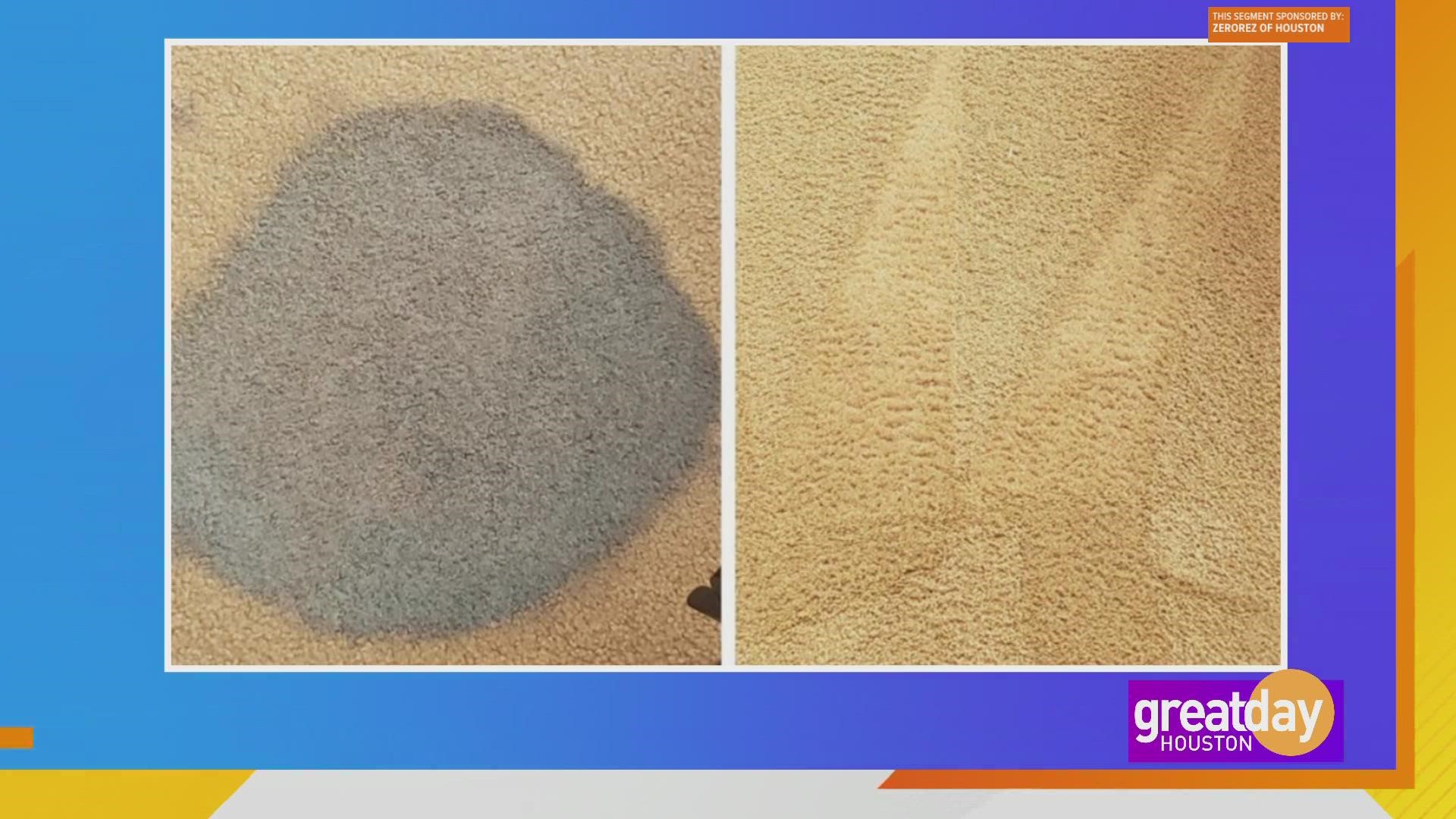 How to get rid of pet stains on your carpet with Zerorez of Houston