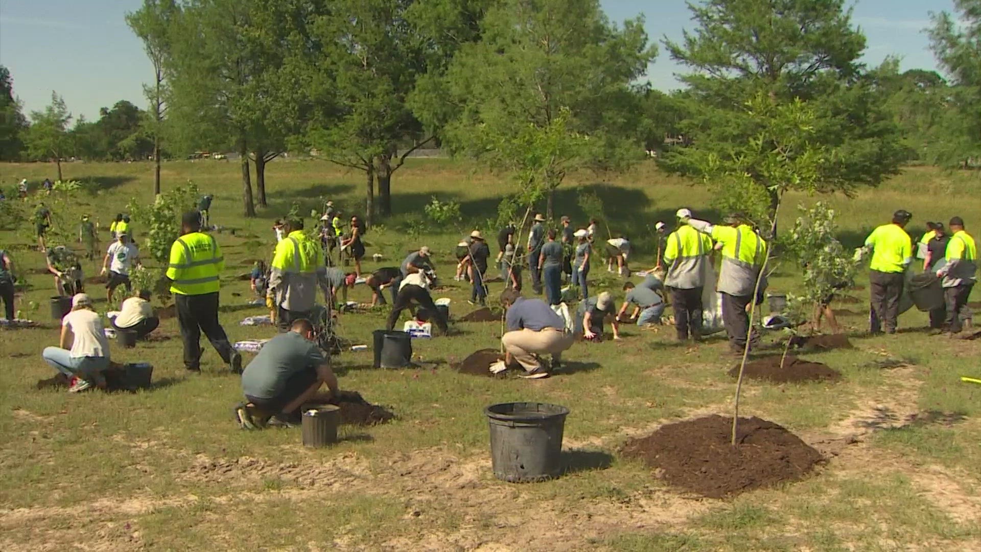 The tree planting at Watonga Park is part of a bigger initiative to restore forested areas in the city.