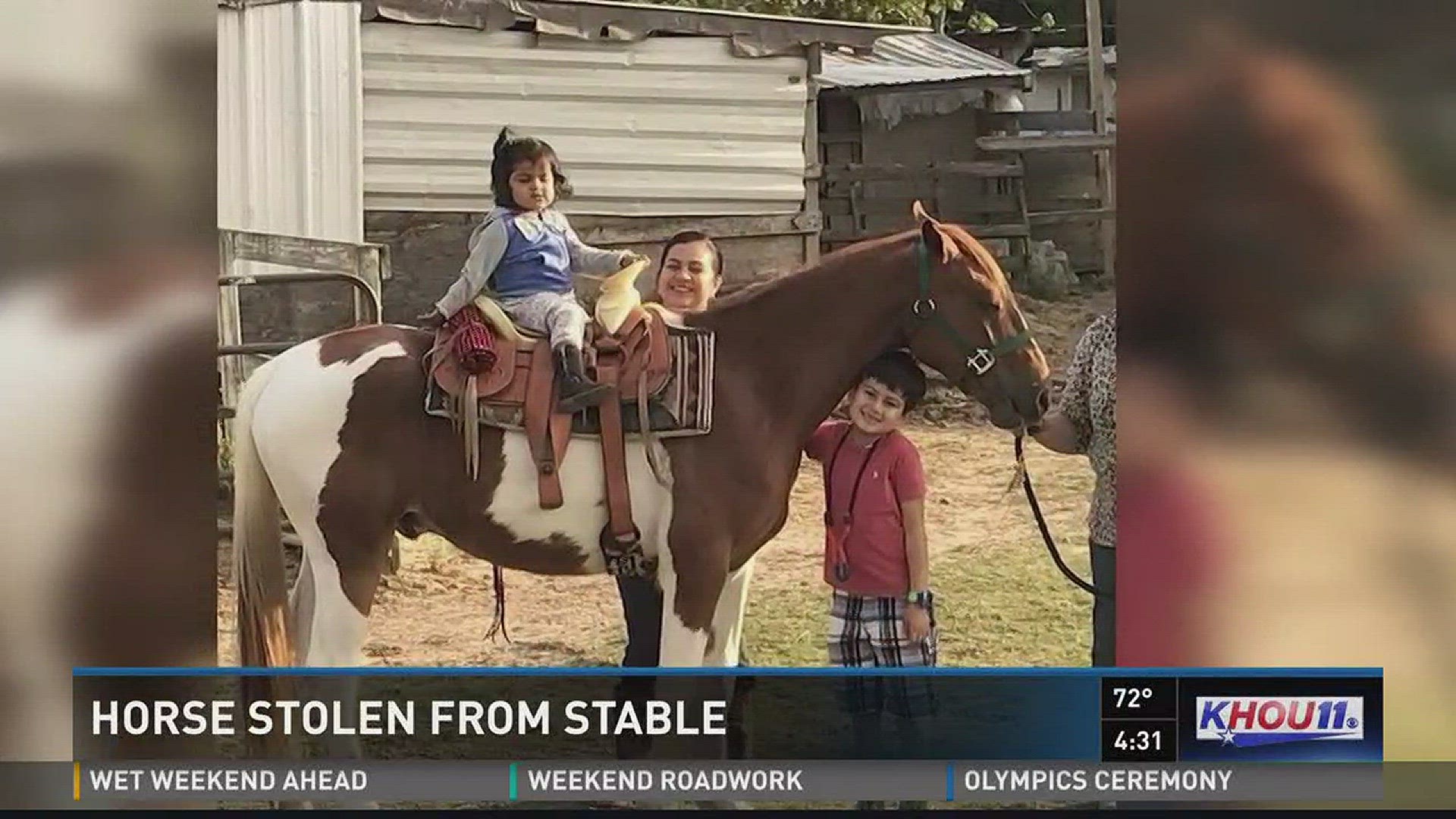 A Houston man, who says his horse was stolen earlier this week, believes there's an uptick in horse thefts when rodeo season rolls around. Night vision cameras caught only a few images of the thief who took Barry and left another horse tied up outside.