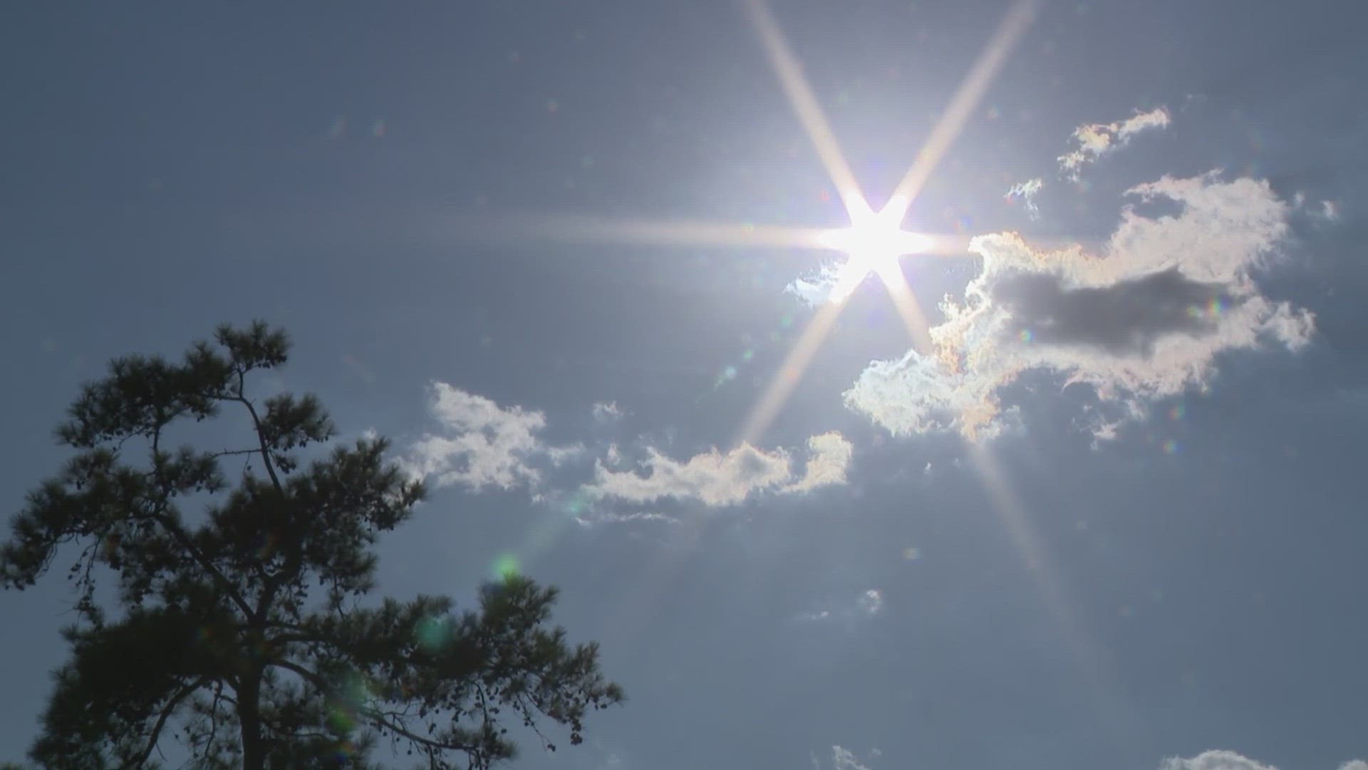 There has been a rise in heat-related calls during the dog days of summer.