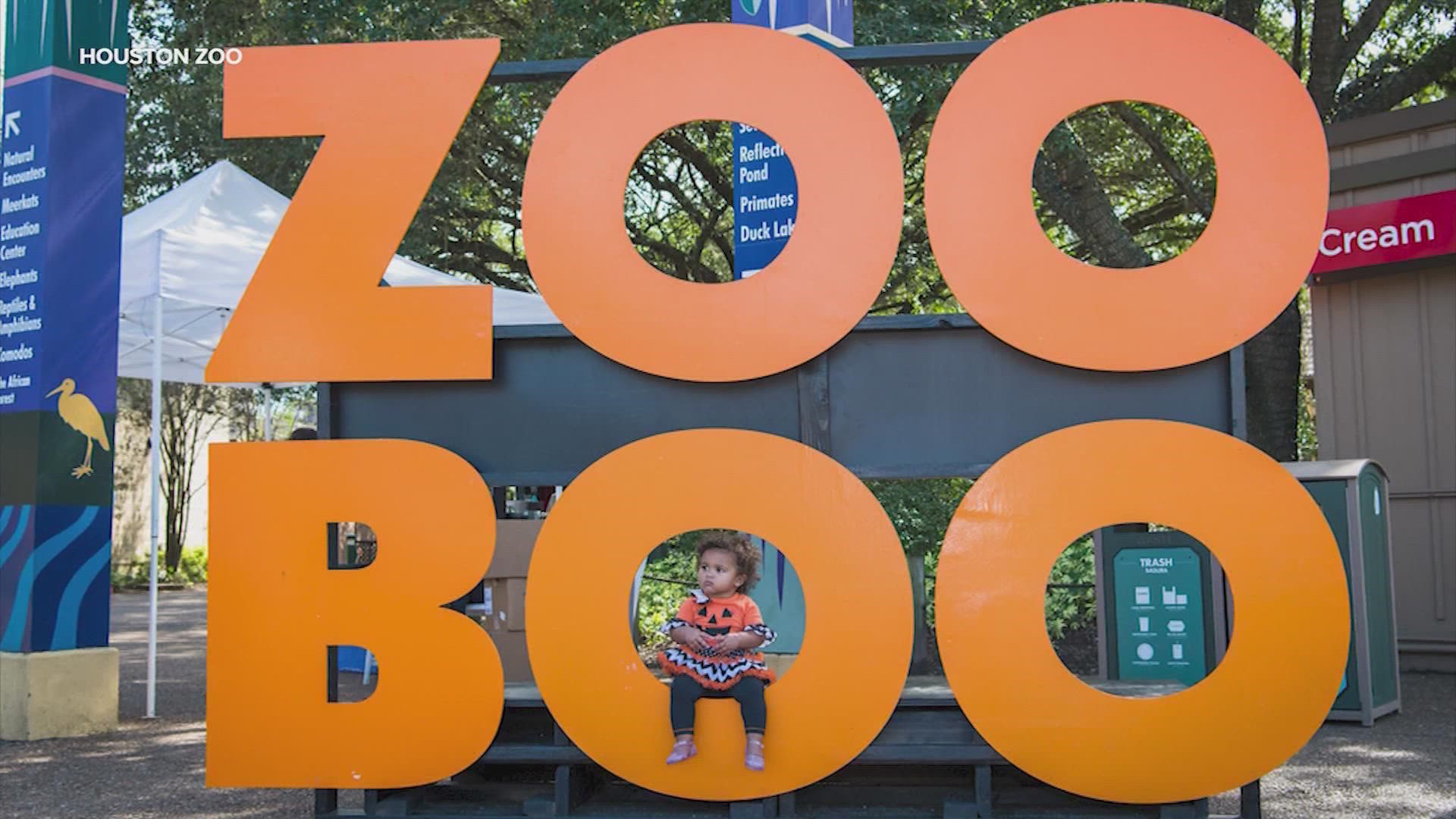 This year, expect the ghost and goblins at the park to stay a little past curfew as the Zoo introduces "Zoo Boo After Hours."