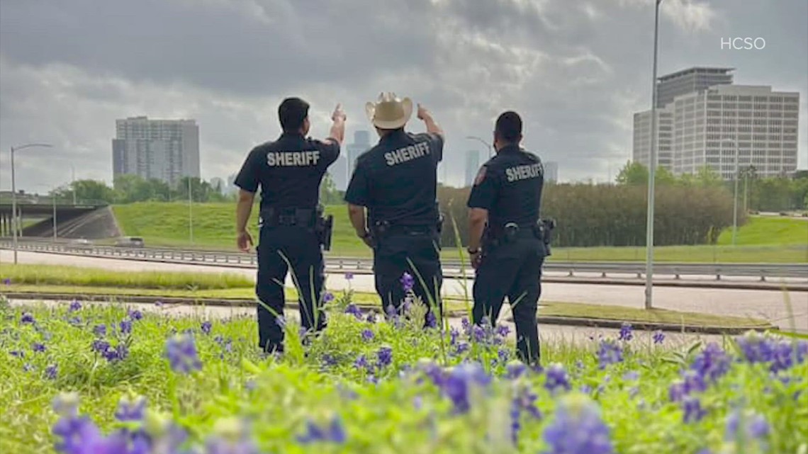 Blue Bonnett season: Harris Co. Sheriff's Office on how to stay safe while getting the perfect pic