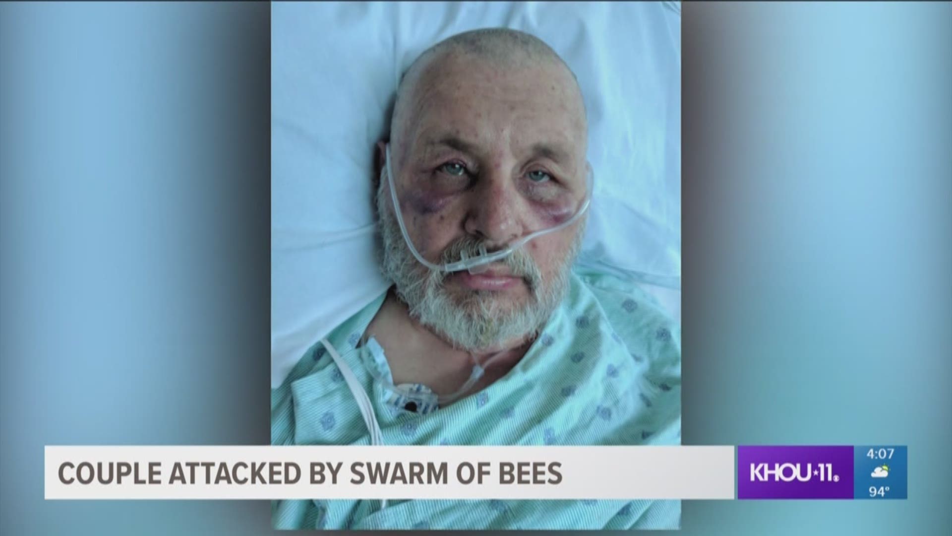 A Wallis couple was attacked by a swarm of bees, an incident that could have turned deadly.