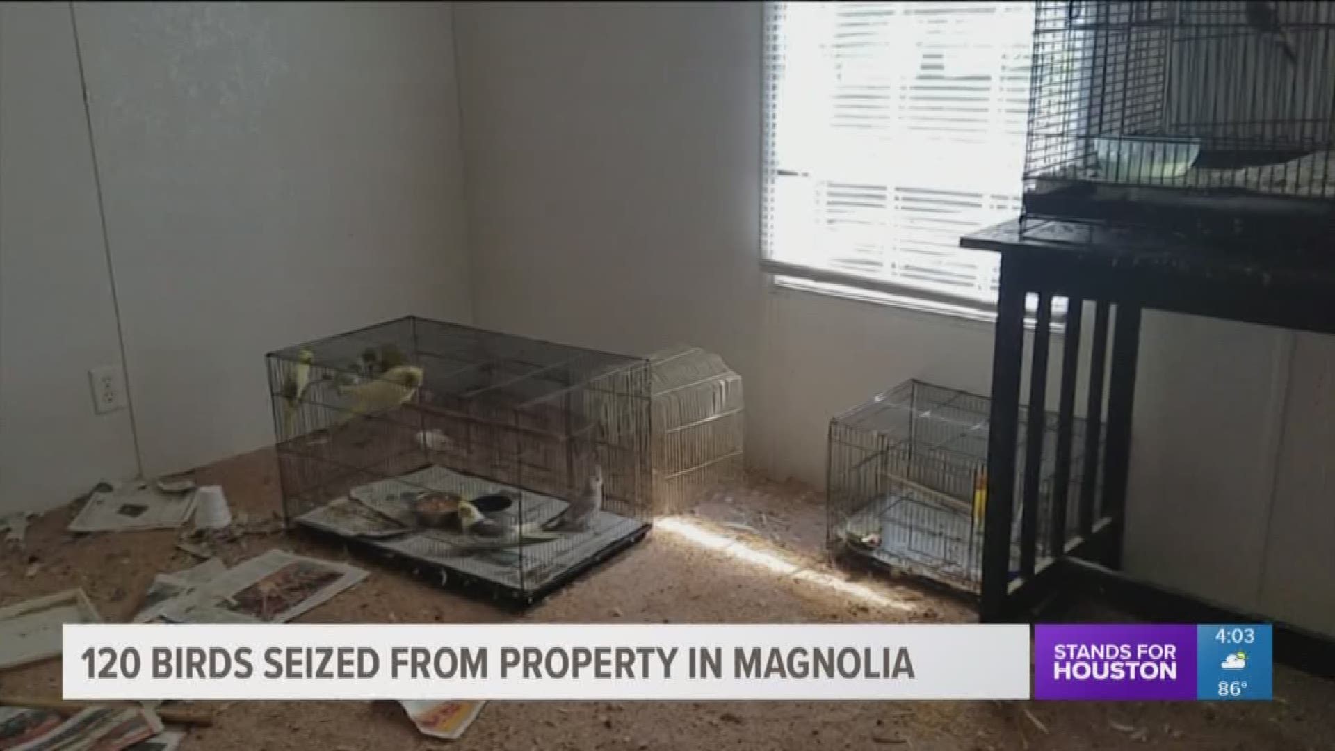More than 100 birds were rescued from deplorable conditions Tuesday at a property in Magnolia.