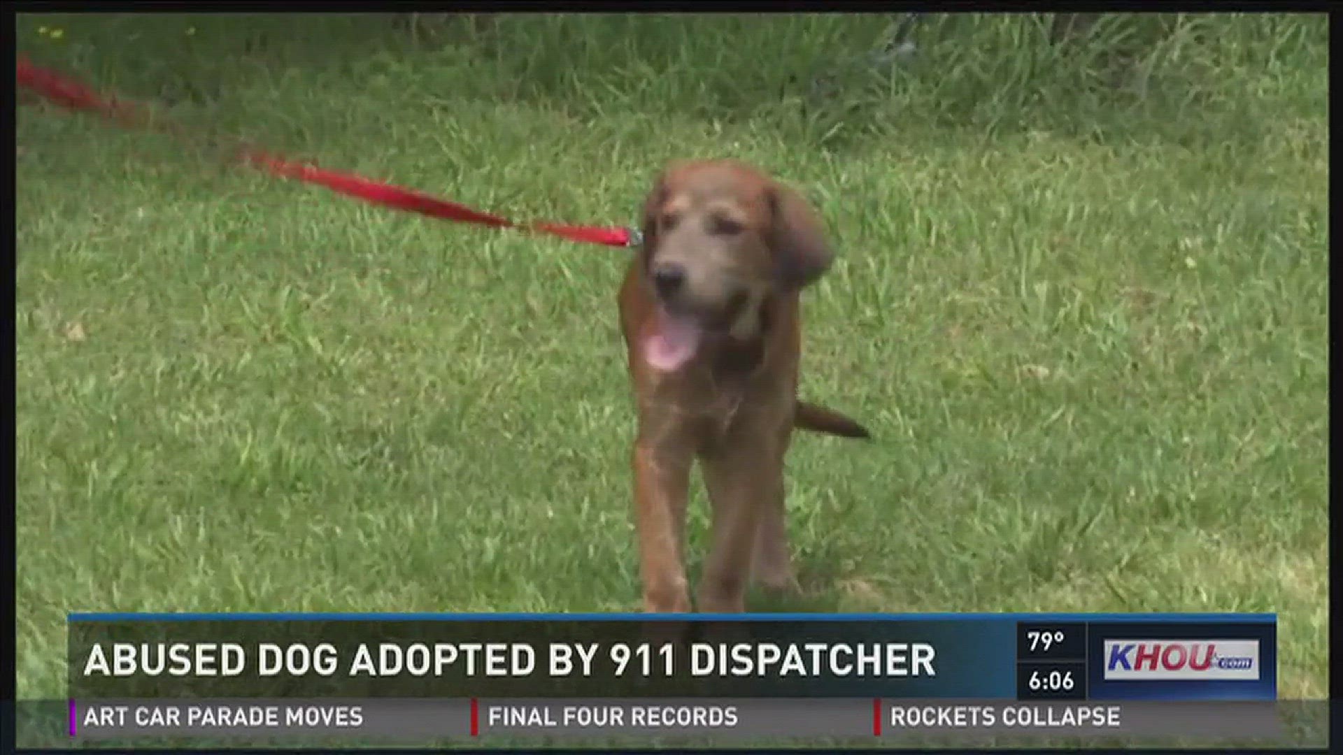 when did the last 911 dog die