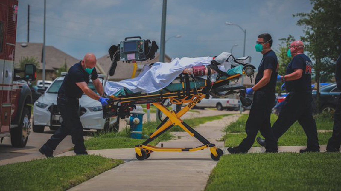 Woman flown to hospital after dog attack in Katy - Vimarsana News