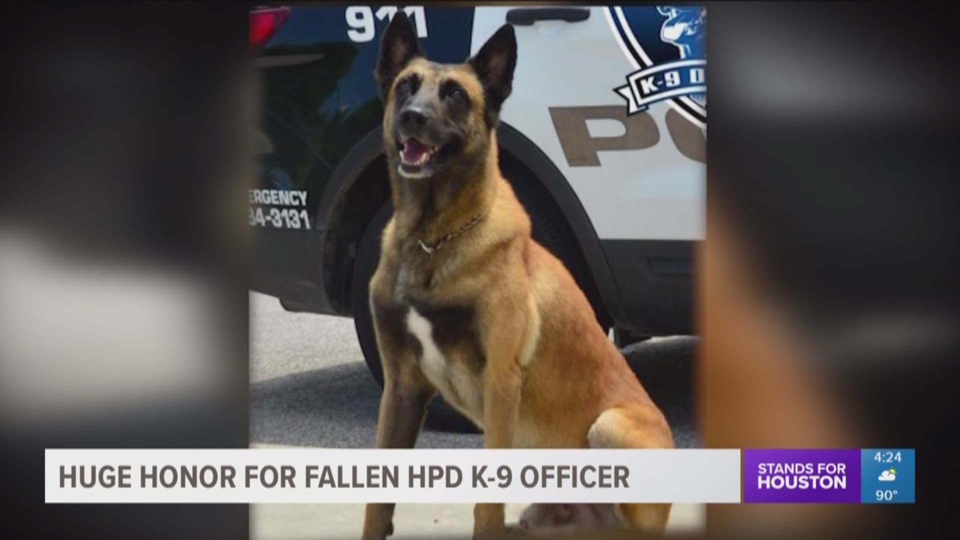 Fallen Houston Police K-9 Officer Rony is one of two police dogs to be honored with an American Kennel Club hero award.