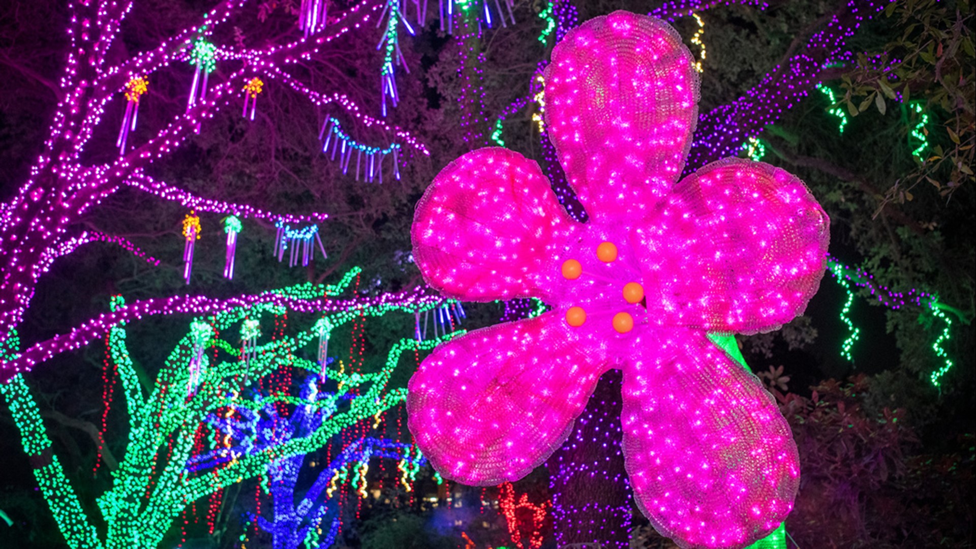 Where to see Christmas lights in Houston area