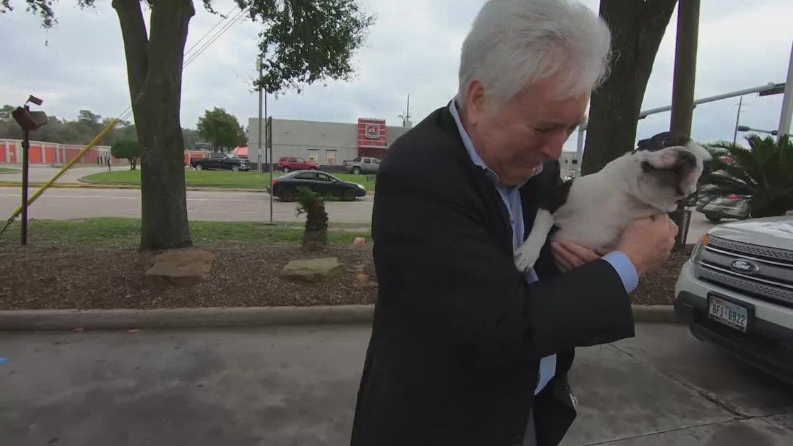 Owner reunited with dog that was stolen from his car in Spring