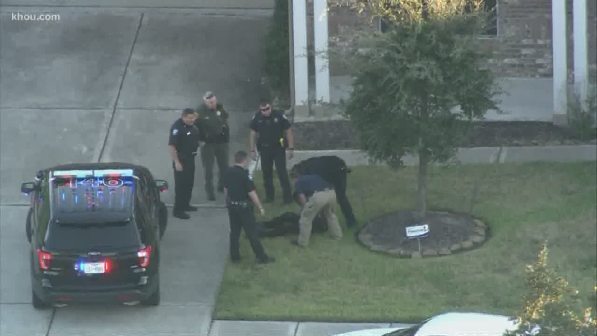 Officers arrested the man they say stole a car, then led them on a chase through the southern part of Houston. He then ditched the car and started running in the Pearland area.