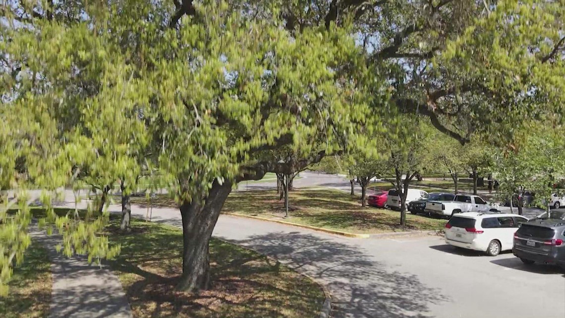 Texas drought impacting trees across Houston | khou.com