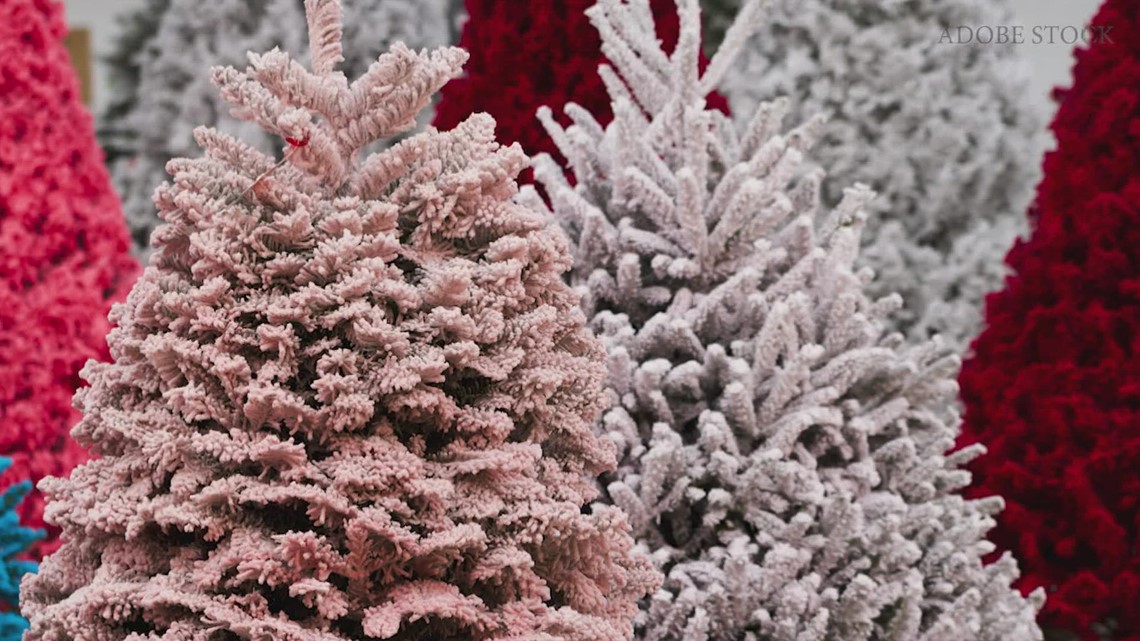 VERIFY Why Christmas tree may be potentially harmful