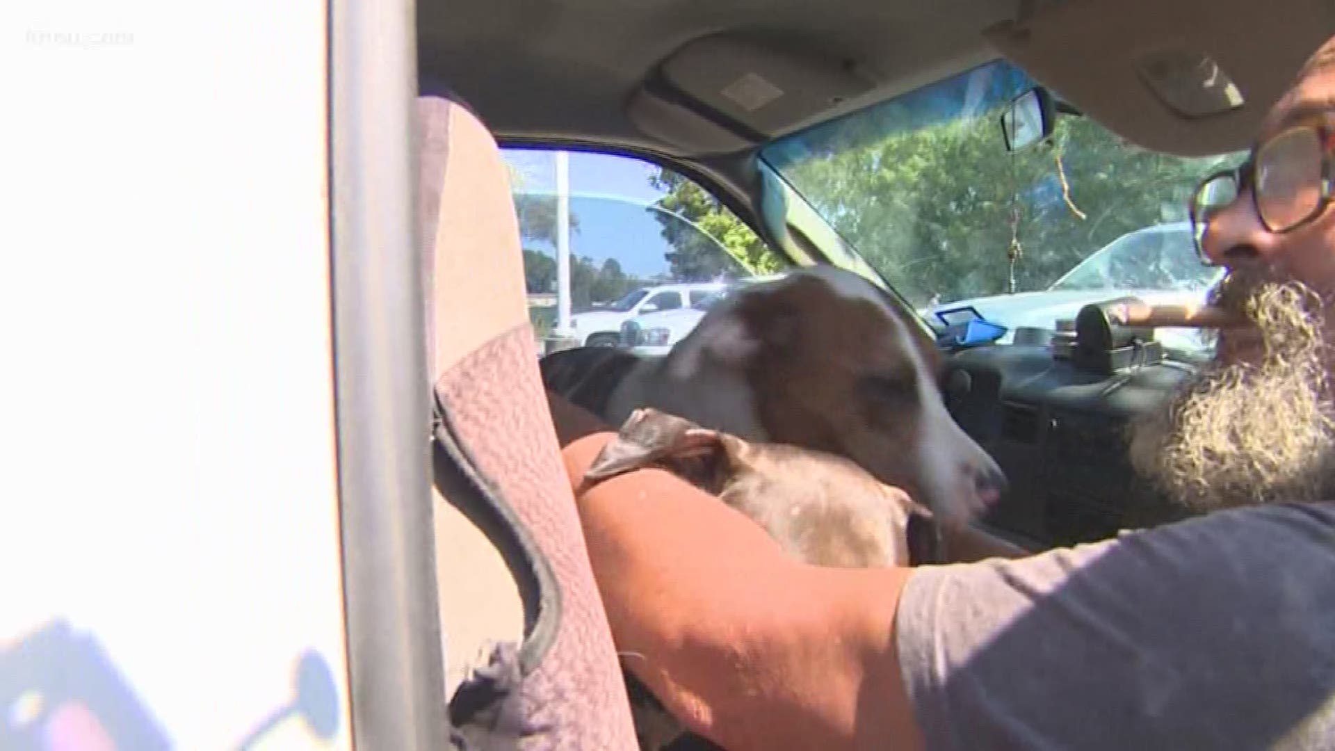 A man is living in his pickup truck with his 8 dogs after Imelda destroyed the RV he was living in while he fixed up a home Harvey previously damaged.
