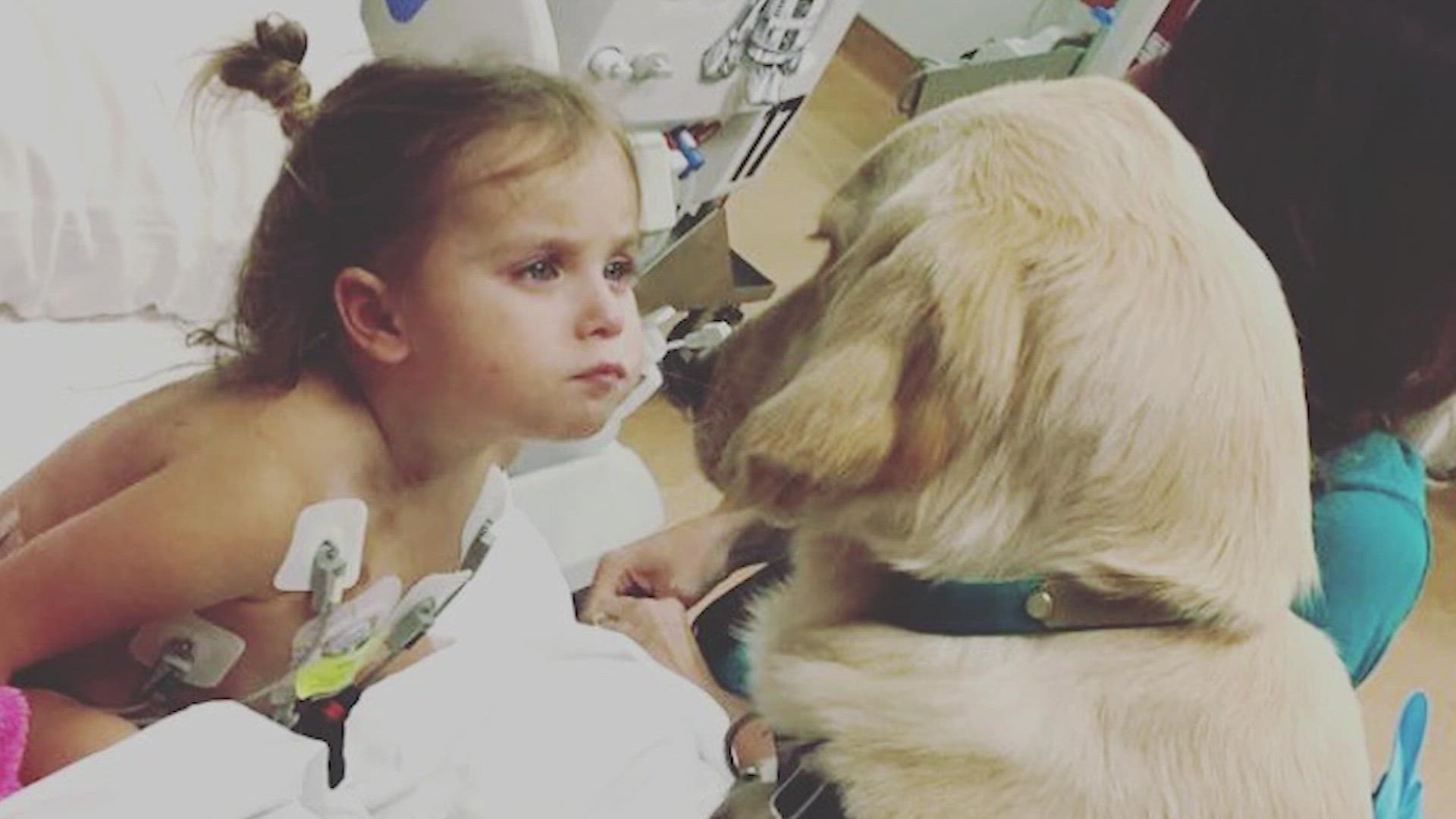 Elsa the golden retriever has been a comforting presence for thousands of kids facing difficult health battles. "She always makes my day better," Christiana told us.