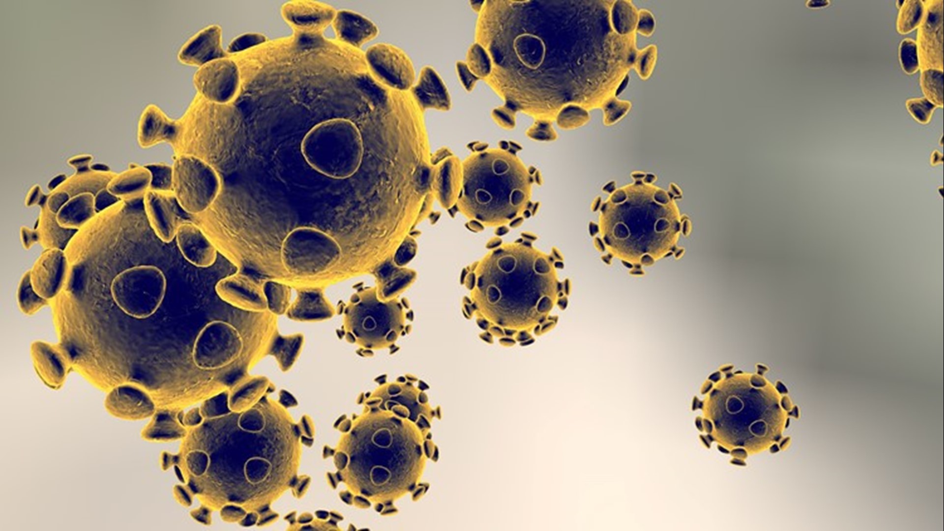 The Brazos County Health District is investigating a suspected case of the 2019 novel coronavirus in a patient who traveled from Wuhan, China, where the coronavirus