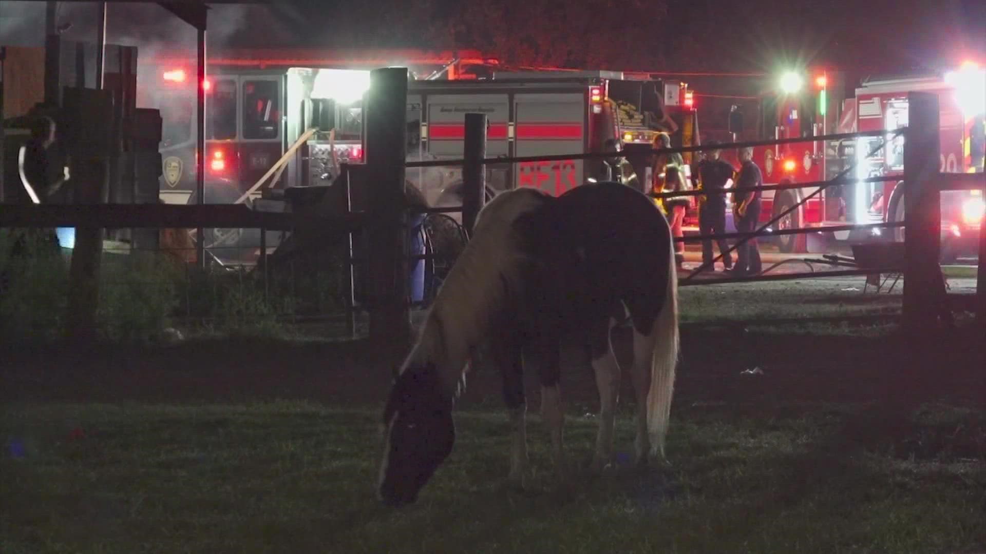 Multiple horses died after a barn caught fire in north Houston early Friday morning, according to the Houston Fire Department.