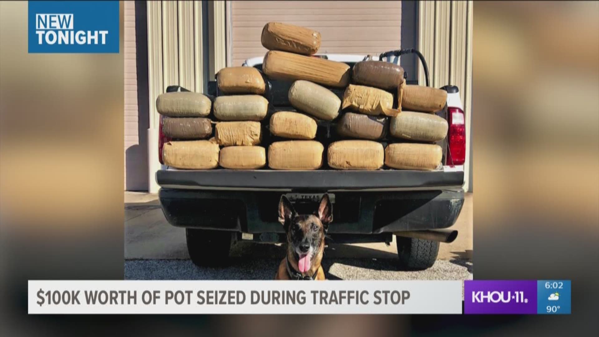A man was arrested Wednesday after Fort Bend County Sheriff's deputies seized $100,000 worth of marijuana from his vehicle in Rosenberg.