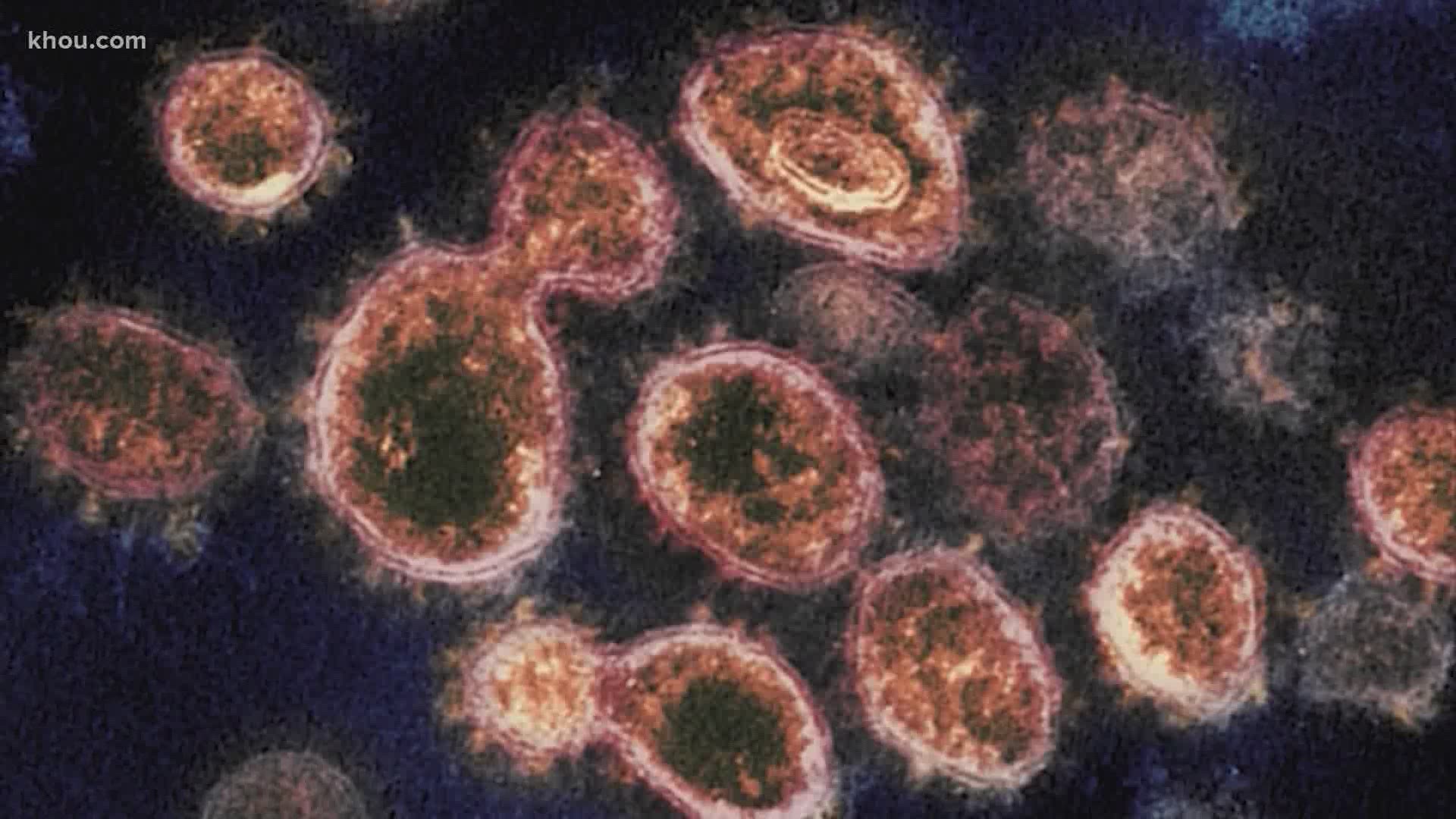While the variant spreads more easily, researchers say its symptoms are not more severe than the previous versions of the virus.