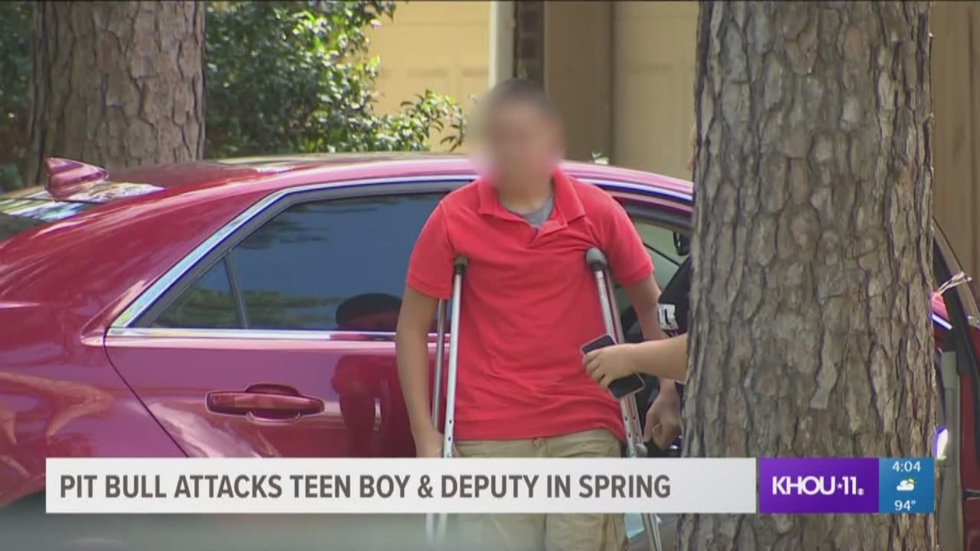 'I didn't know what to do': Dog shot after attacking 13-year-old boy ...