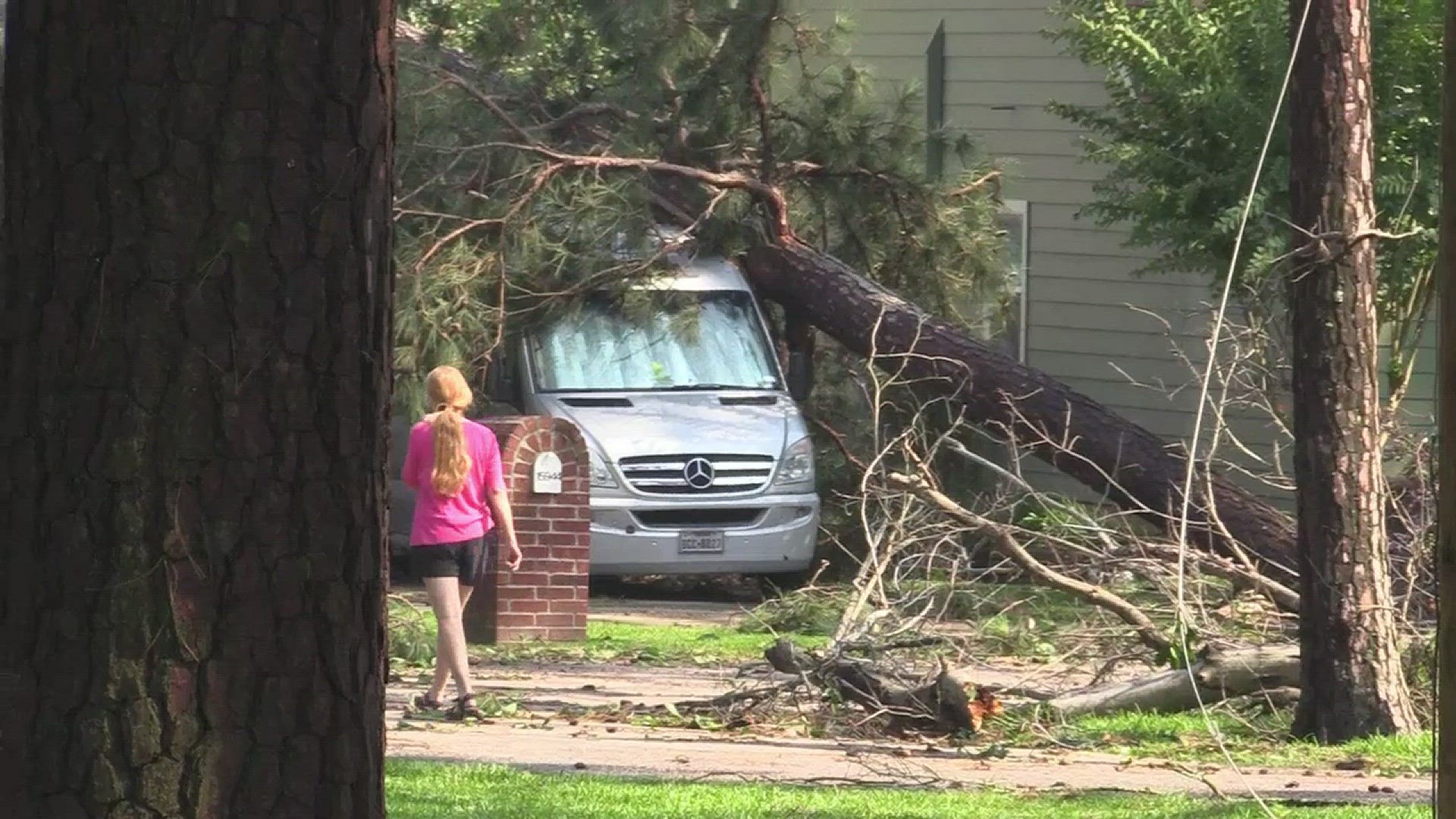 Houses were damaged and trees were blown over after a severe storm ripped through Burnt Mills.
