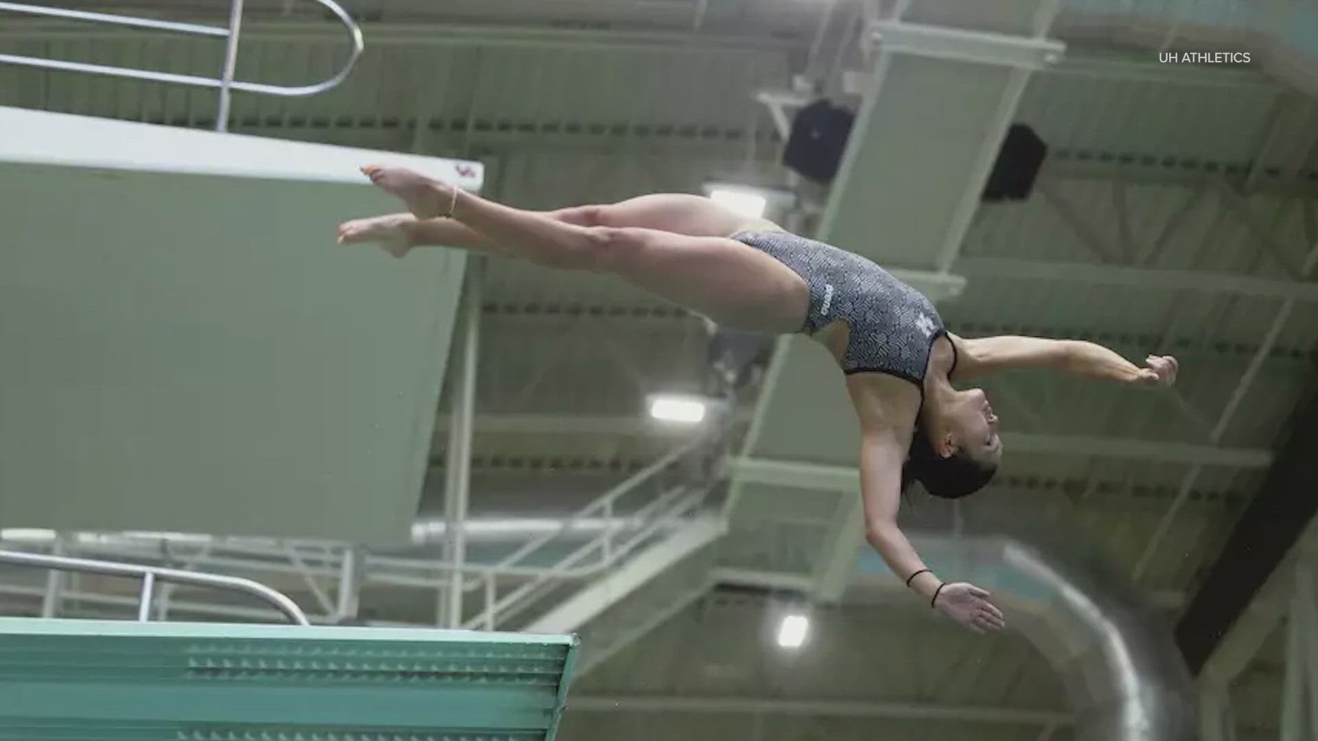  University of Houston diver Alexa Massari is making waves beyond the pool.