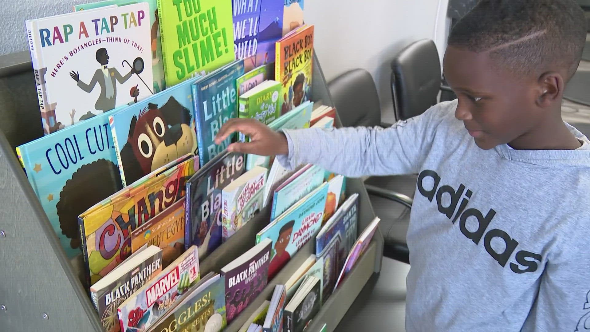 The graduate chapter of Alpha Kappa Alpha Sorority runs and stocks two barbershop libraries, two "Little Free Libraries" and also hosts community book fairs.