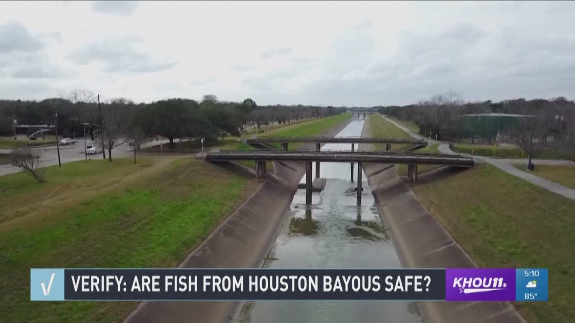 An email sent to the KHOU 11 newsroom Monday morning asked if the fish from Houston's bayous were safe to eat.