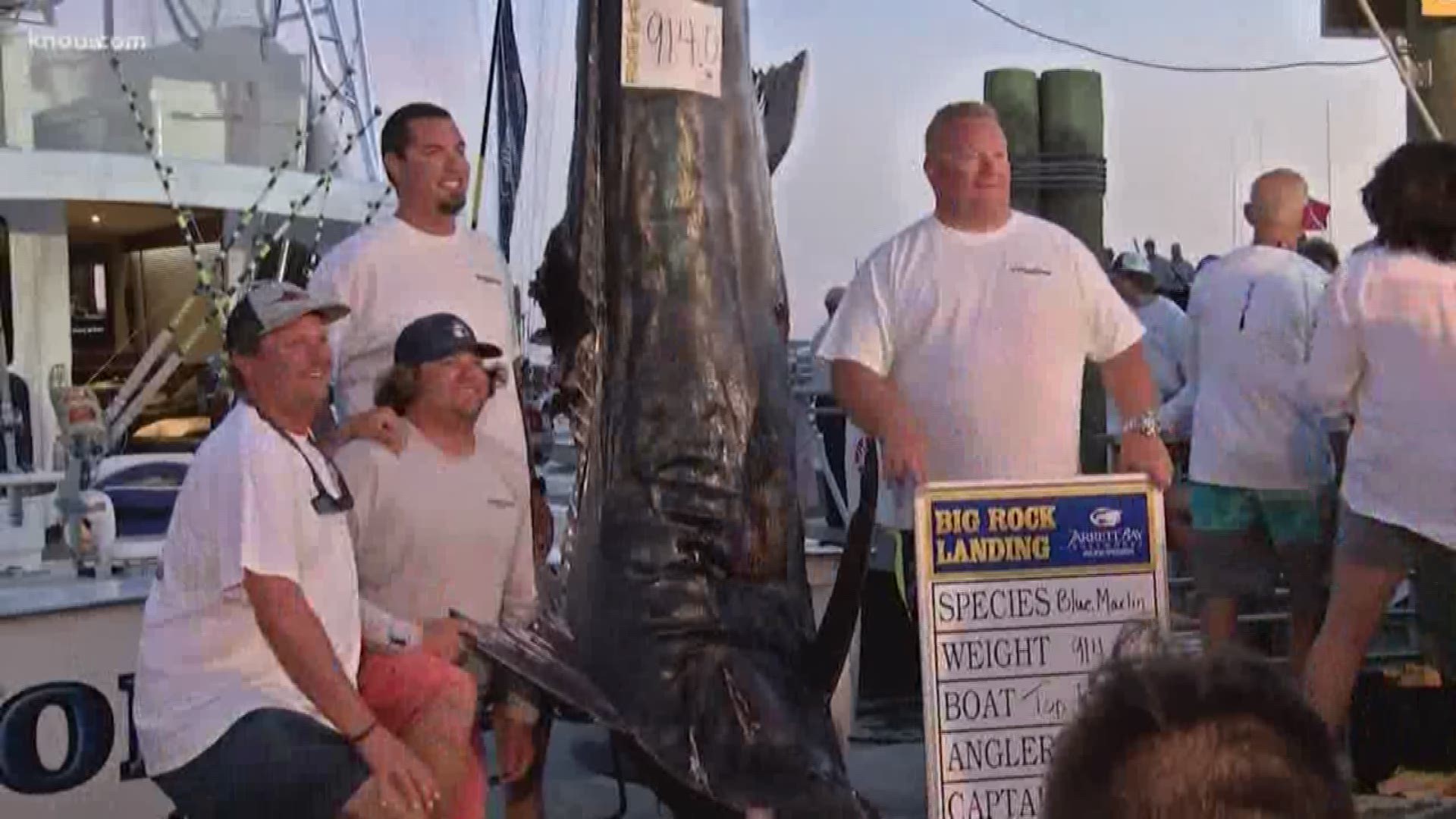 A massive, 914-pound was caught at a fishing tournament in North Carolina. The angler who caught it said it was only fitting this happened on Father's Day weekend. His father, who died four months ago, is the one who got him started fishing. It took 5 1/2 hours of fighting to get the fish on the boat.
