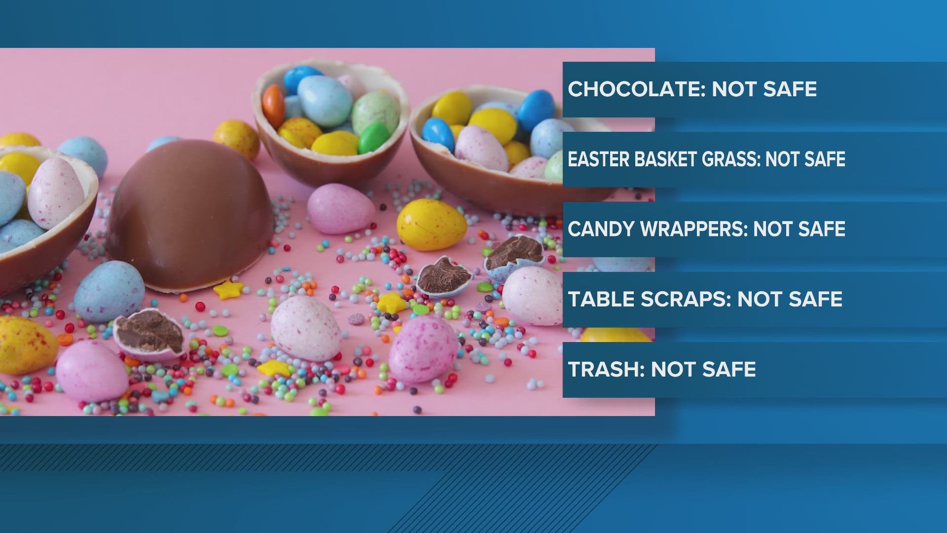 Here are some tips to keep your pets safe this Easter holiday season.