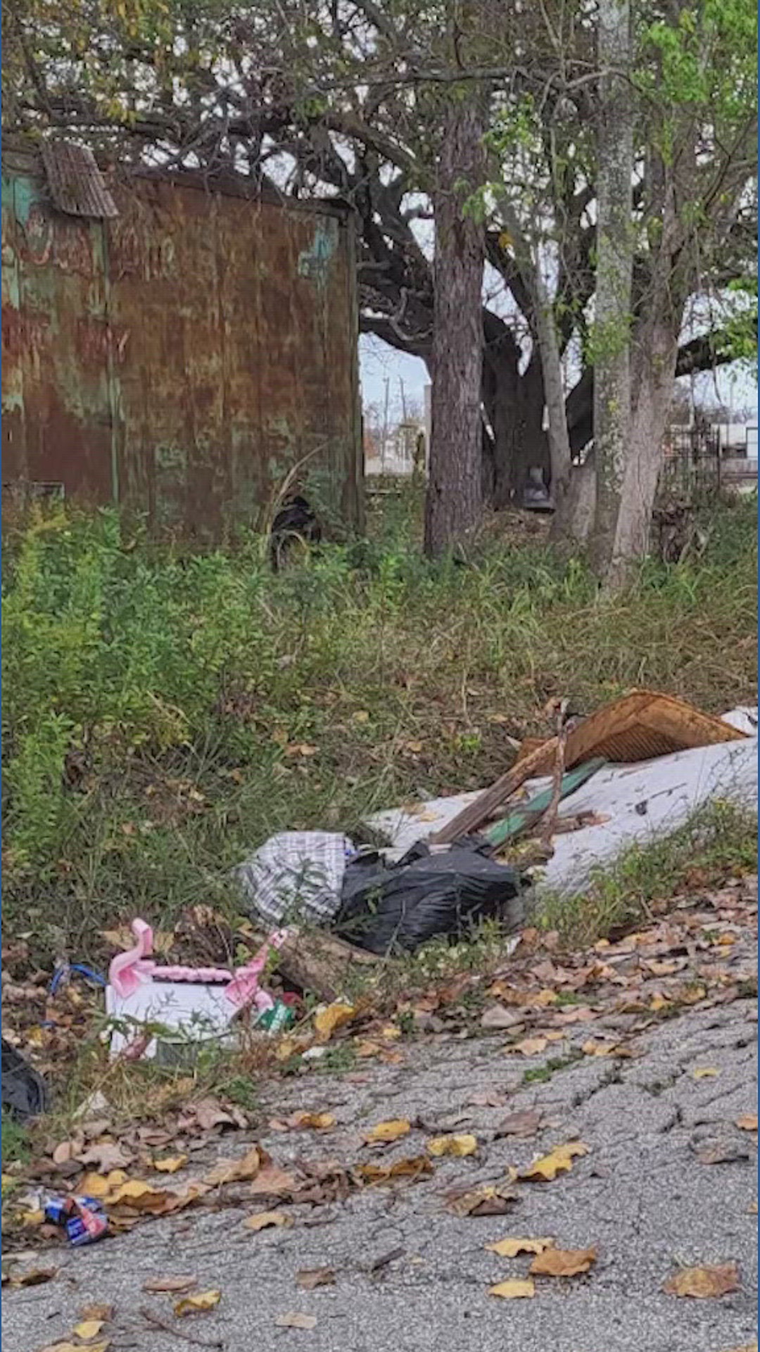 Mayor Whitmire backs citizen patrols to fight illegal dumping in NE ...