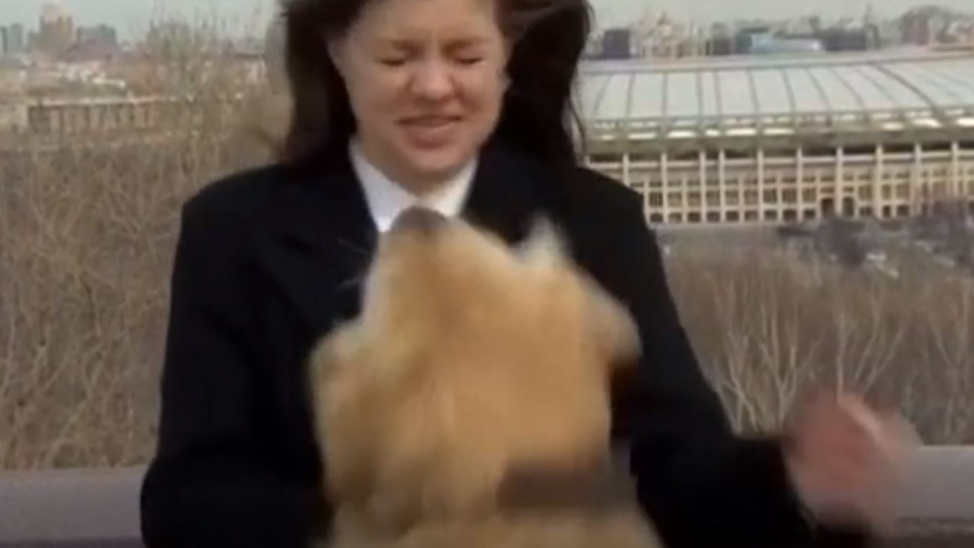 Dog steals reporter's microphone