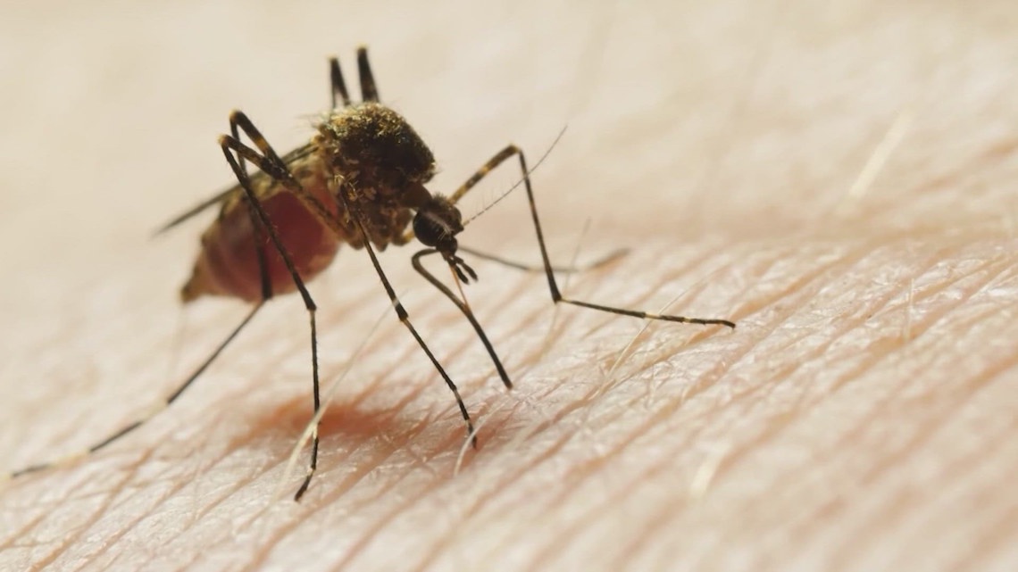 Harris County confirms first West Nile virus case of 2025