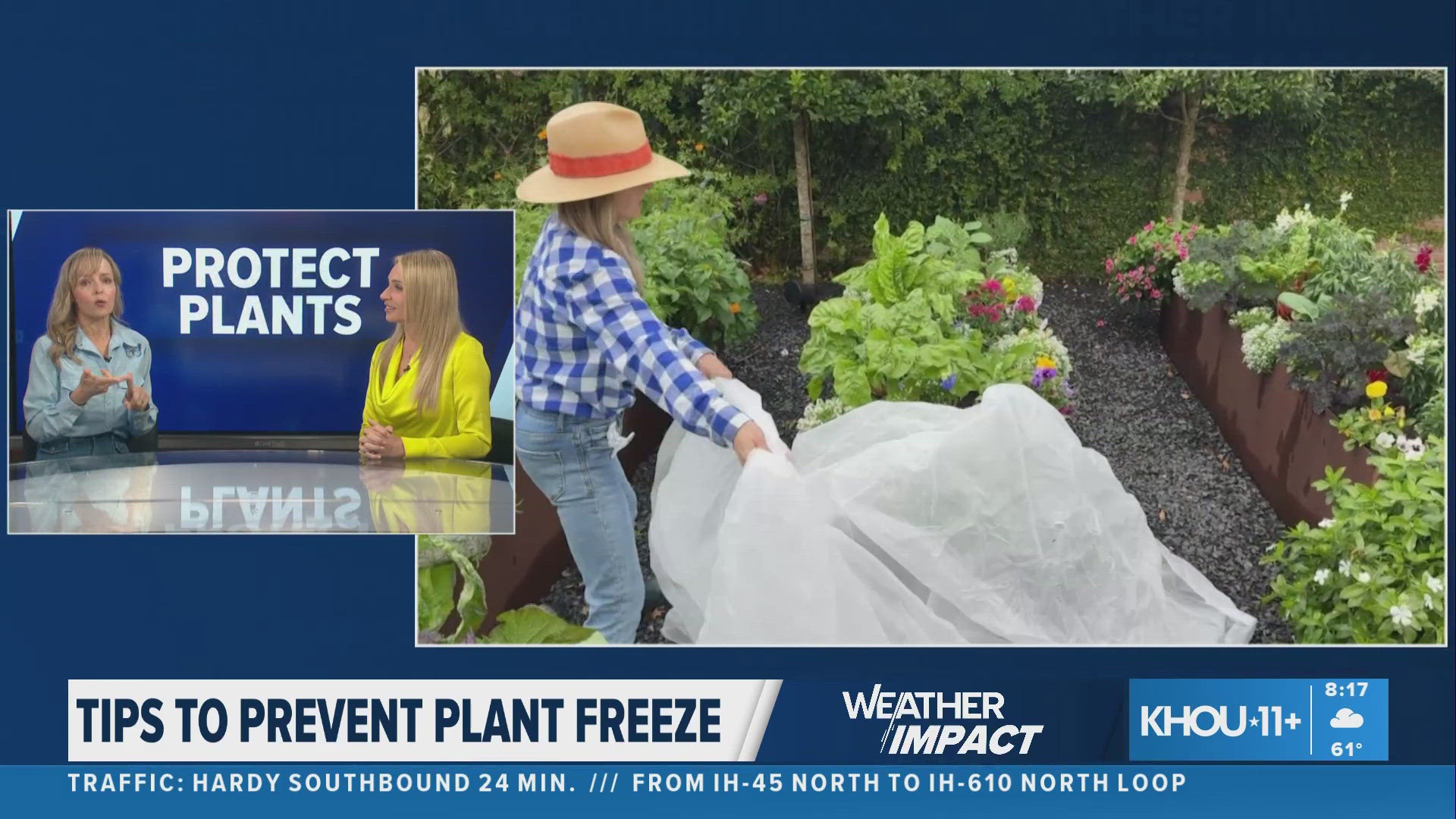 How to protect your garden from freezing temps | khou.com