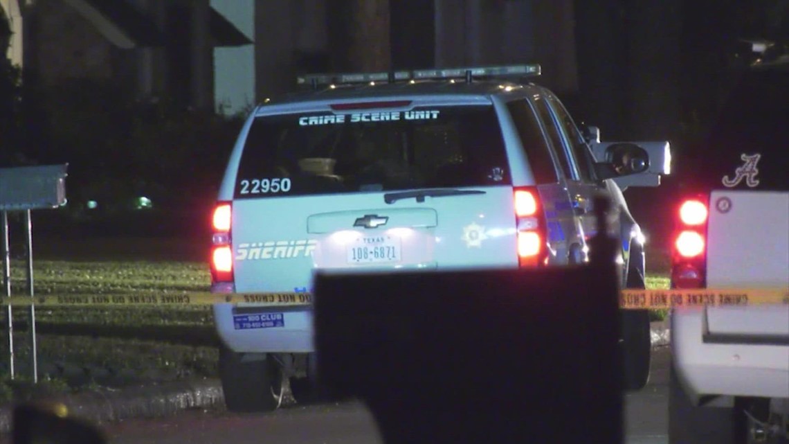 Man shot, killed during attempted carjacking in Willowbrook area, sheriff says